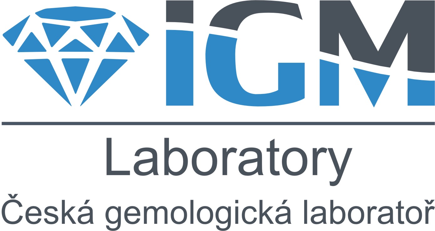 IGM logo_NEW.jpg
